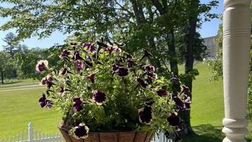 A hanging flower basket with purple and white flowers, a white fence, and a green lawn in the background.