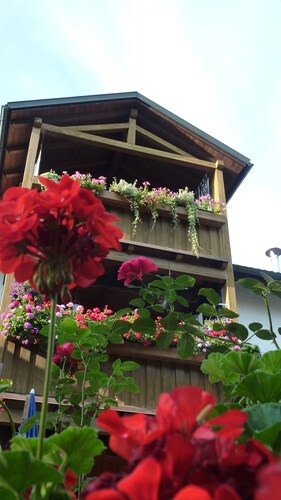 Ferienwohnung Gartenblick- 3 Personen, 45qm, Balkon mit schöner Aussicht