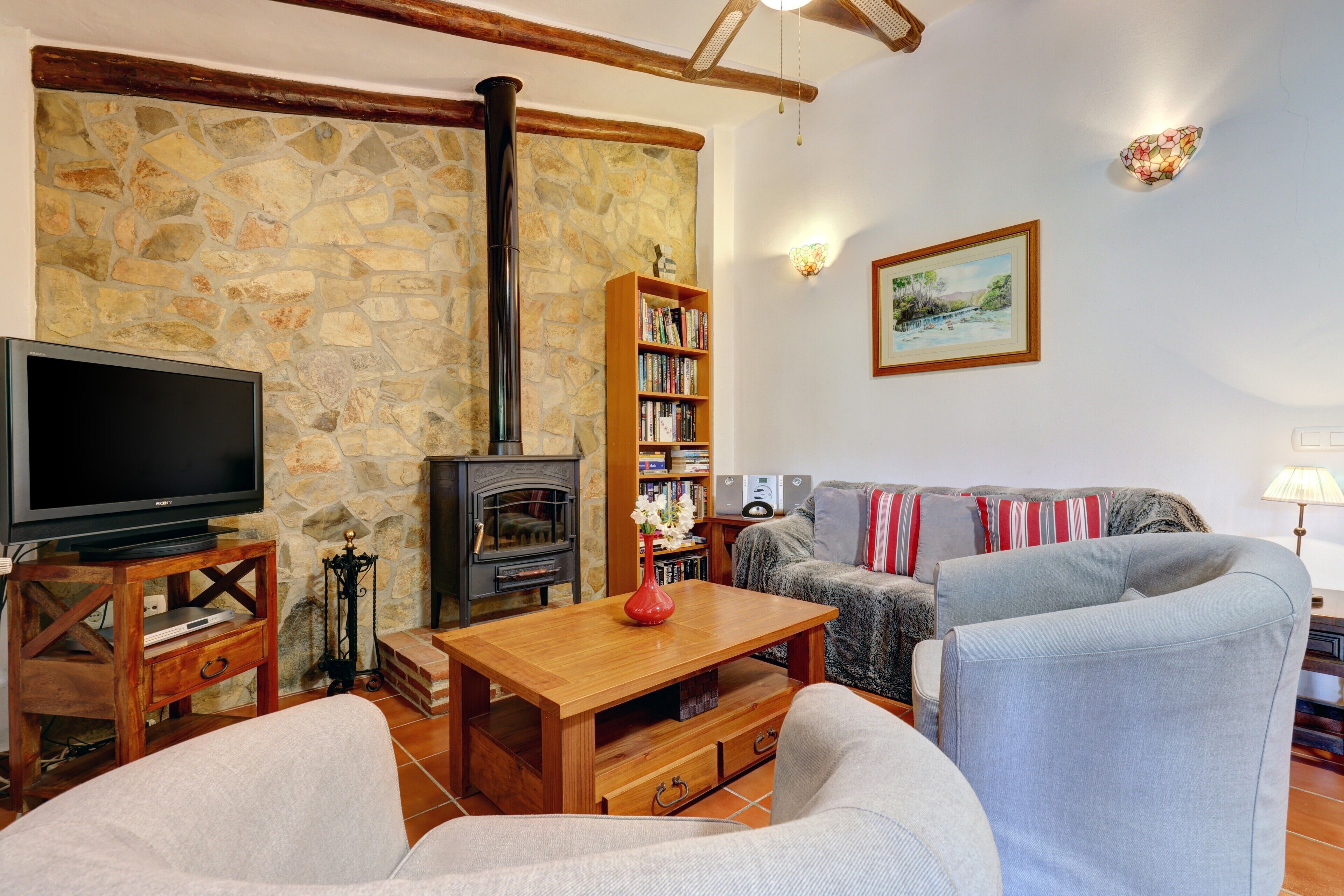 Télévision, cheminée, jeux vidéo, lecteur de DVD