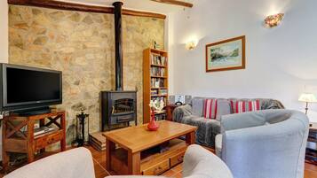 Televisie, een open haard, videospelletjes en een dvd-speler