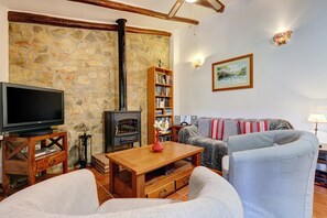 Een televisie, een open haard, videogames en een dvd-speler