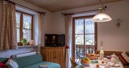 Ferienwohnung Nr. 2, 1-2 Personen, 36 qm, Balkon mit Bergblick, TV, W-lan