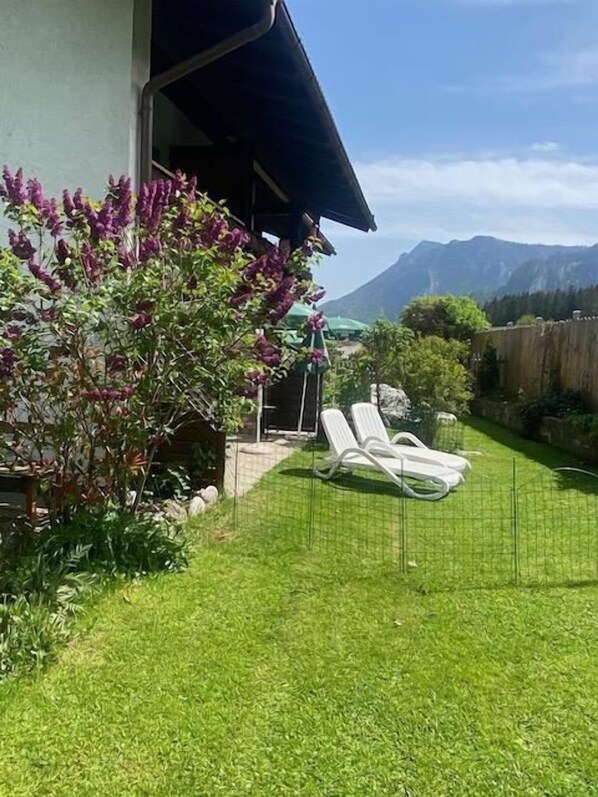 Un jardin avec une pelouse, un arbre aux fleurs violettes et une clôture blanche.