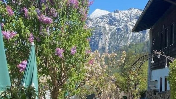 A mountain view with a wooden house, a potted plant, and a stack of firewood. - Vacation apartment Kienberg for 2 persons, 45 sqm, eat-in kitchen, with balcony (Inzell)