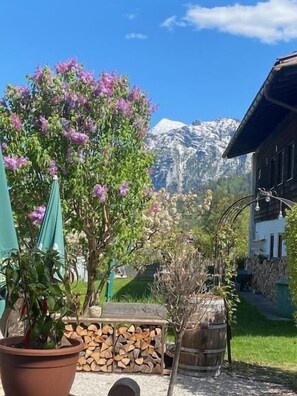 Une vue sur la montagne avec une maison en bois, une plante en pot et une pile de bois de chauffage.