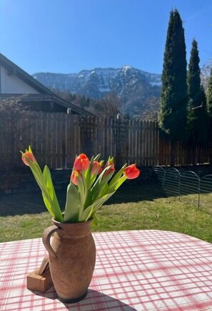 Un entorno rústico al aire libre con un mantel a cuadros, un jarrón de cerámica con tulipanes rojos y una valla de madera en el fondo.