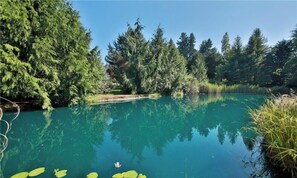 A serene lake surrounded by dense forest, with lily pads on the water's surface. - Expansive manor house for family gatherings, retreats, walkable to the village!  (Langley)