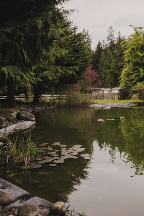 Property grounds - Expansive manor house for family gatherings, retreats, walkable to the village!  (Langley)