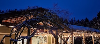 Expansive manor house for family gatherings, retreats, walkable to the village! 