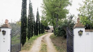 A gated entrance with a paved path leading to a building, surrounded by tall cypress trees.