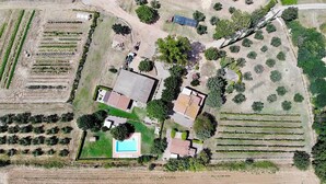 An aerial view of a property with multiple vineyard rows, a swimming pool, and several buildings.