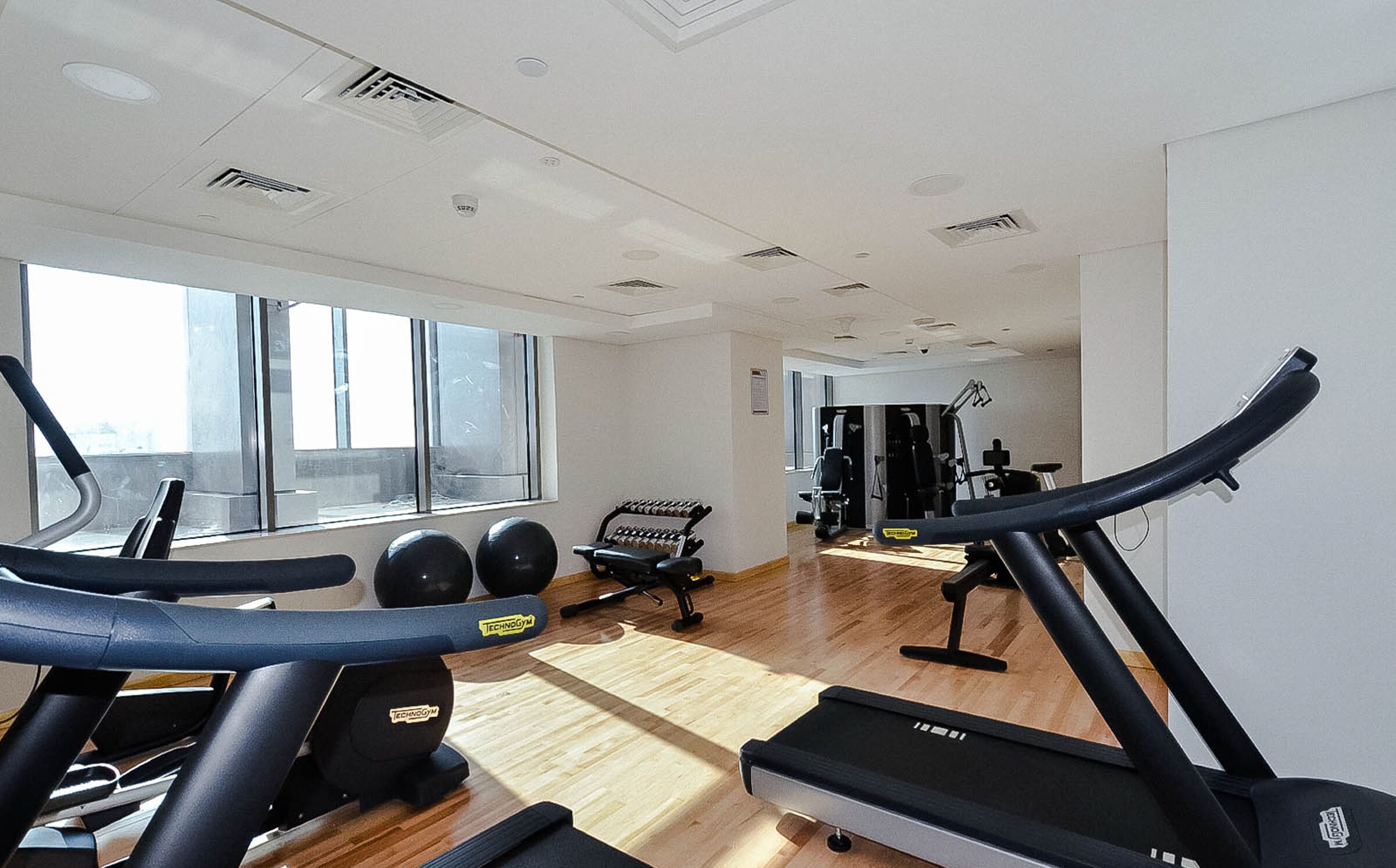 Palestra