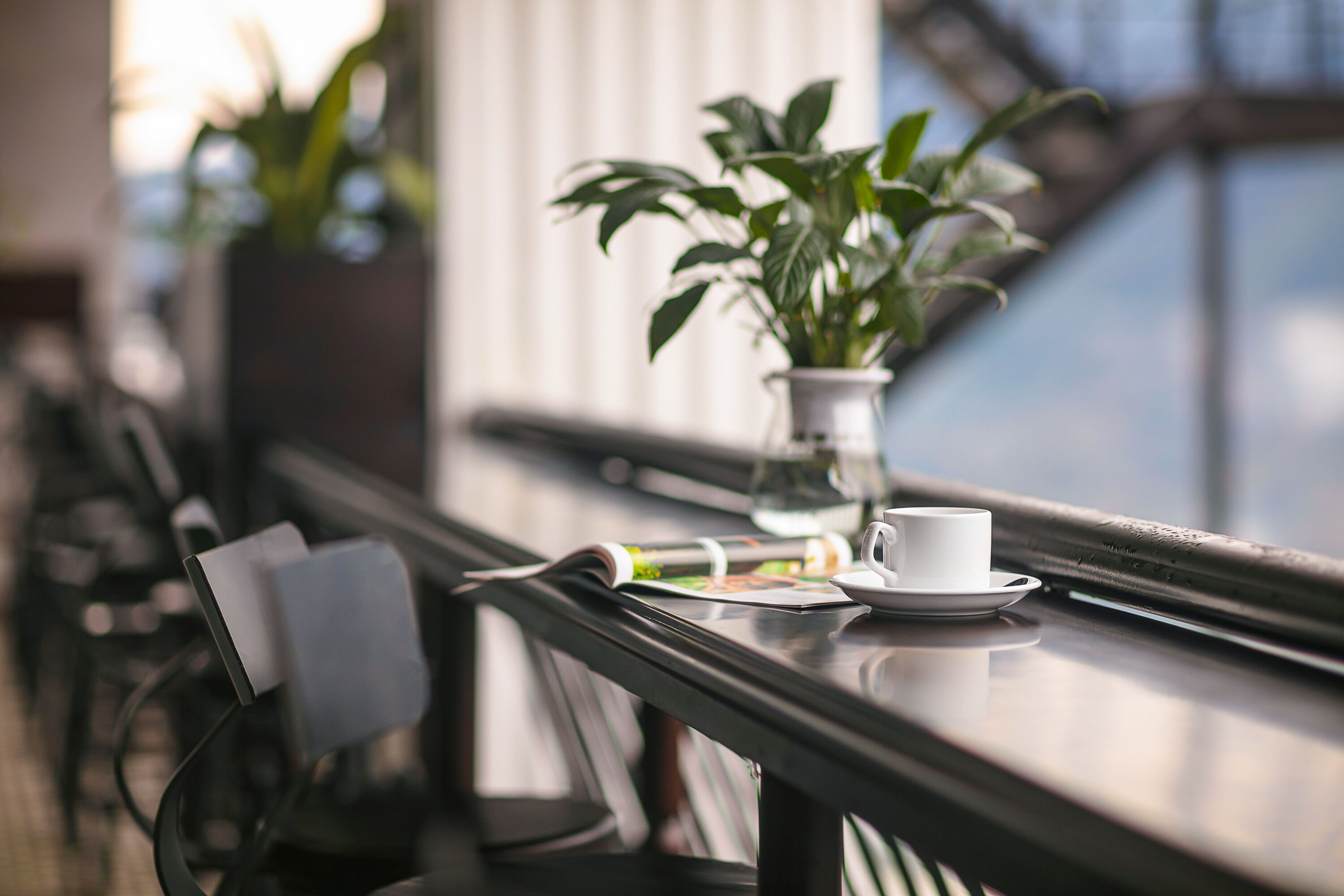 A table with a cup and saucer, a plant, and a magazine.
