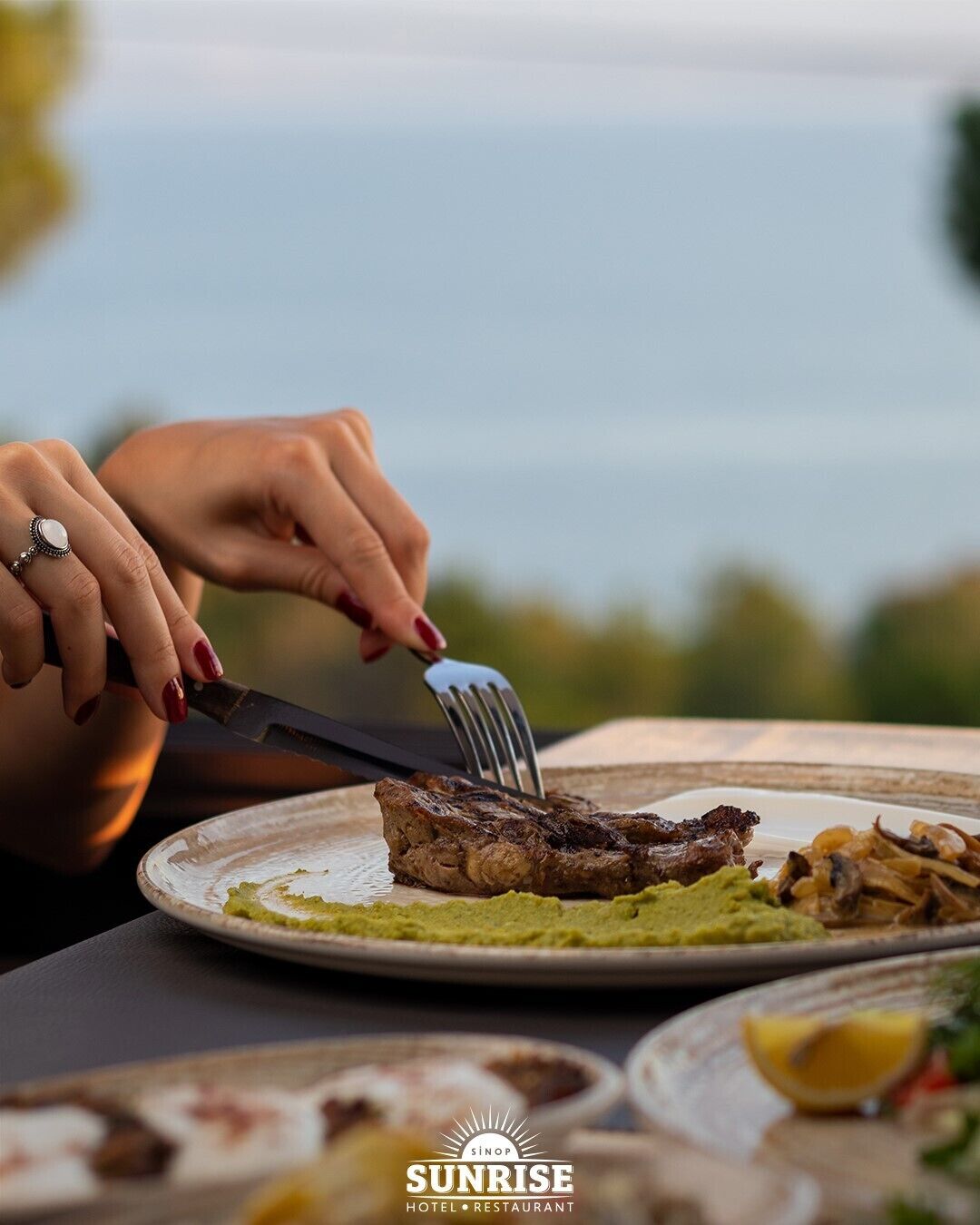 Una persona cortando un filete con un tenedor en un plato, con una vista panorámica al fondo.