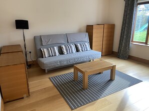 تلفزيون ذكي، مدفأة، ألعاب فيديو، مشغل دي في دي