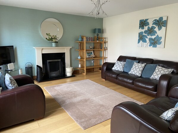 تلفزيون ذكي، مدفأة، ألعاب فيديو، مشغل دي في دي