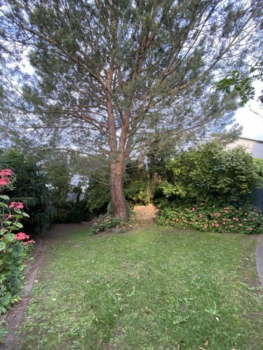 Comfortable 3 bedroom home close to everything!