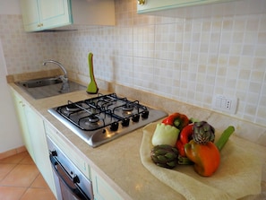 A kitchen with a gas stove, sink, and a variety of vegetables on the counter.