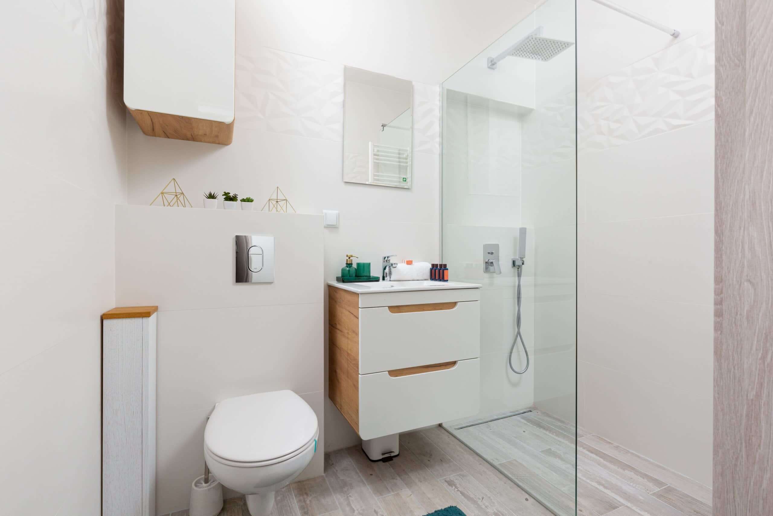 A modern bathroom with a toilet, a glass-enclosed shower, a vanity with a mirror, and a small plant on the wall.