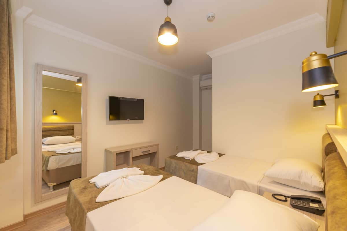 Standard Twin Room, 2 Twin Beds | Soundproofing, free WiFi, bed sheets