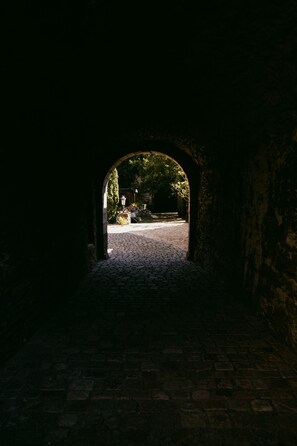 Garden - Burg Gutenfels (Kaub)