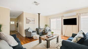 TV, fireplace, books