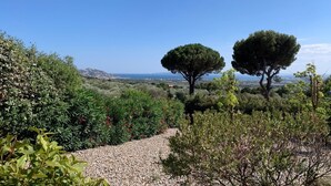 Ein Weg schlängelt sich durch einen Garten mit Bäumen und Sträuchern, mit Blick auf eine entfernte Landschaft.