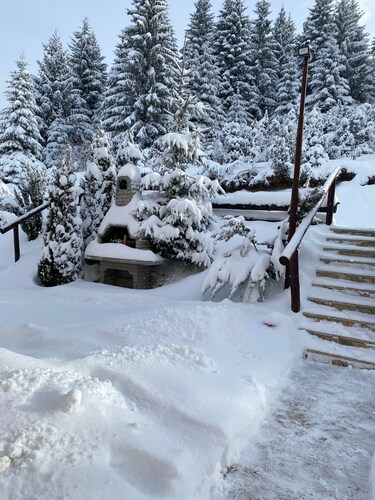 Snow Queen Kopaonik, Separate bedroom, Free Parking, Free Wifi