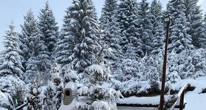 Snow Queen Kopaonik, Separate bedroom, Free Parking, Free Wifi