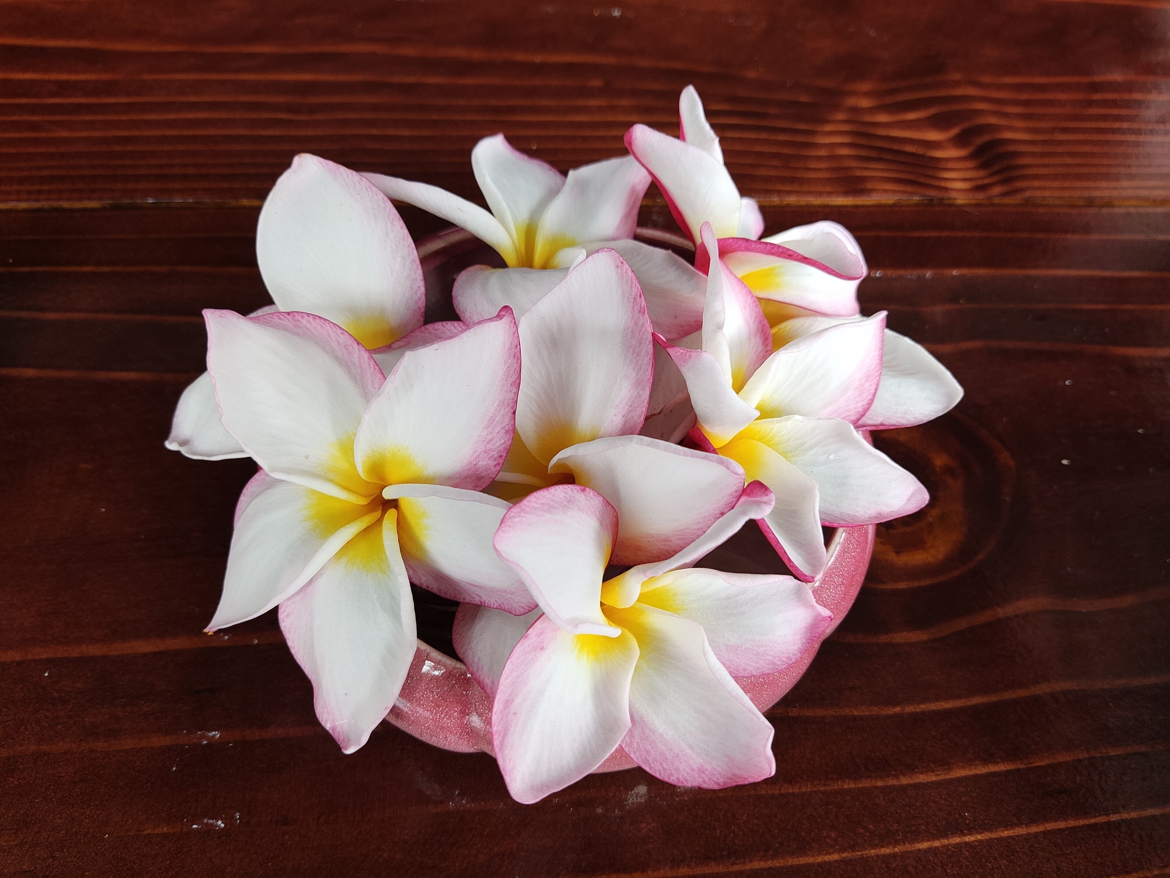 Um grupo de flores brancas e cor-de-rosa com centros amarelos sobre uma superfície de madeira.