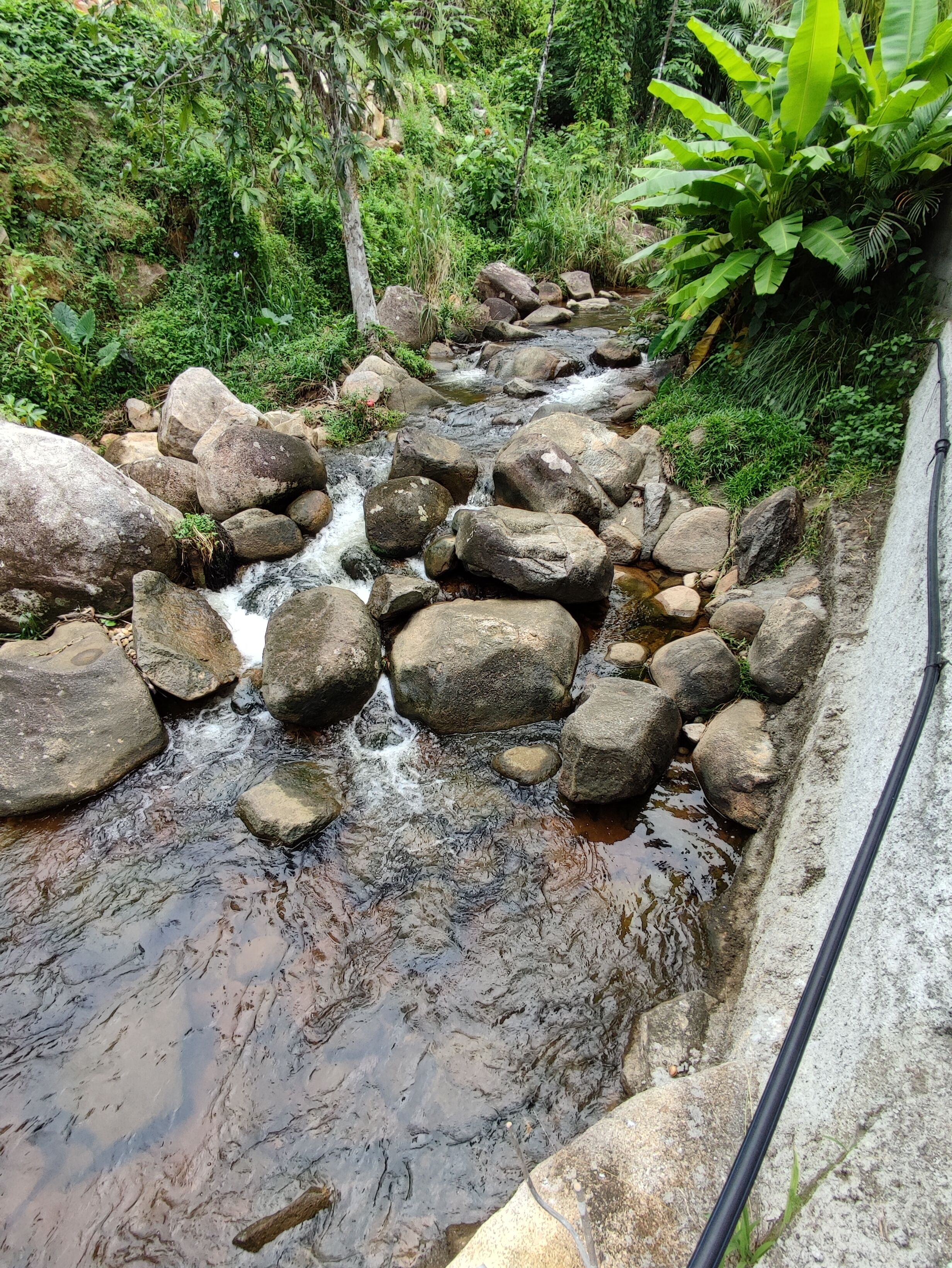 A rocky stream with large boulders and lush greenery.