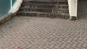 Una serie de escaleras exteriores que conducen a la entrada de un edificio, con barandilla de cristal en un lado y plantas en macetas en la parte superior.