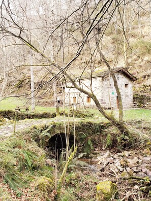 Terrain de l’hébergement 