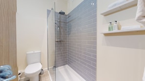 Shower, hair dryer