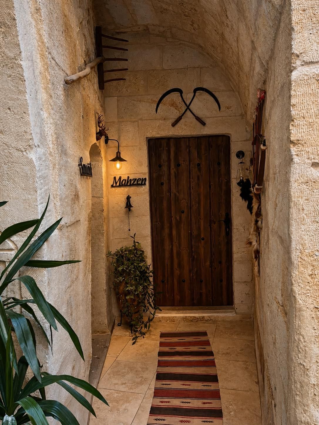 A narrow hallway with a wooden door, a potted plant, and a striped rug on the floor.