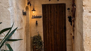 A narrow hallway with a wooden door, a potted plant, and a striped rug on the floor.