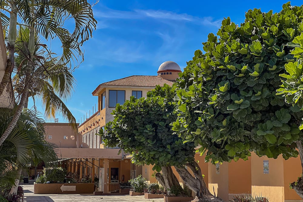 Hotel Oasis