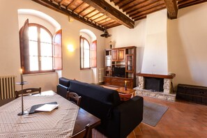 TV, fireplace, books
