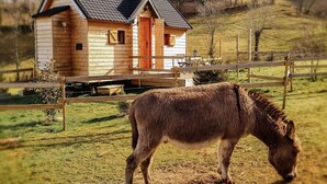 A wooden cabin with a sloped roof, a fenced area, and a donkey grazing in front. - Cab'ânes du Pibeste (Segus)
