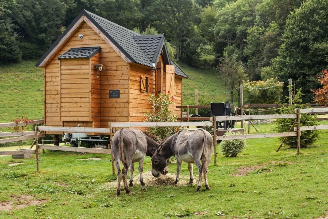 A wooden cabin with a sloped roof, surrounded by a wooden fence and a grassy field.