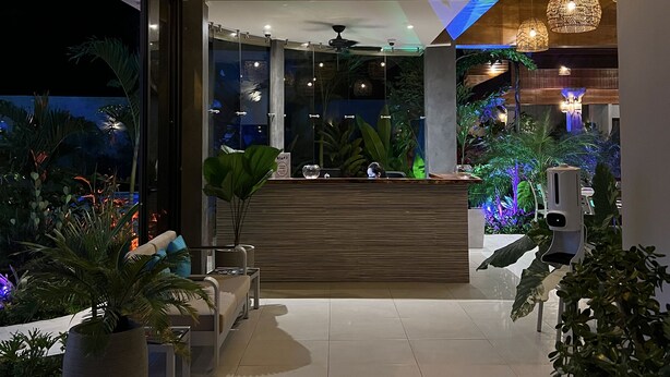 A modern reception area with a wooden reception desk, multiple hanging spherical lights, and indoor plants. - Hotel Naoz (Quepos)