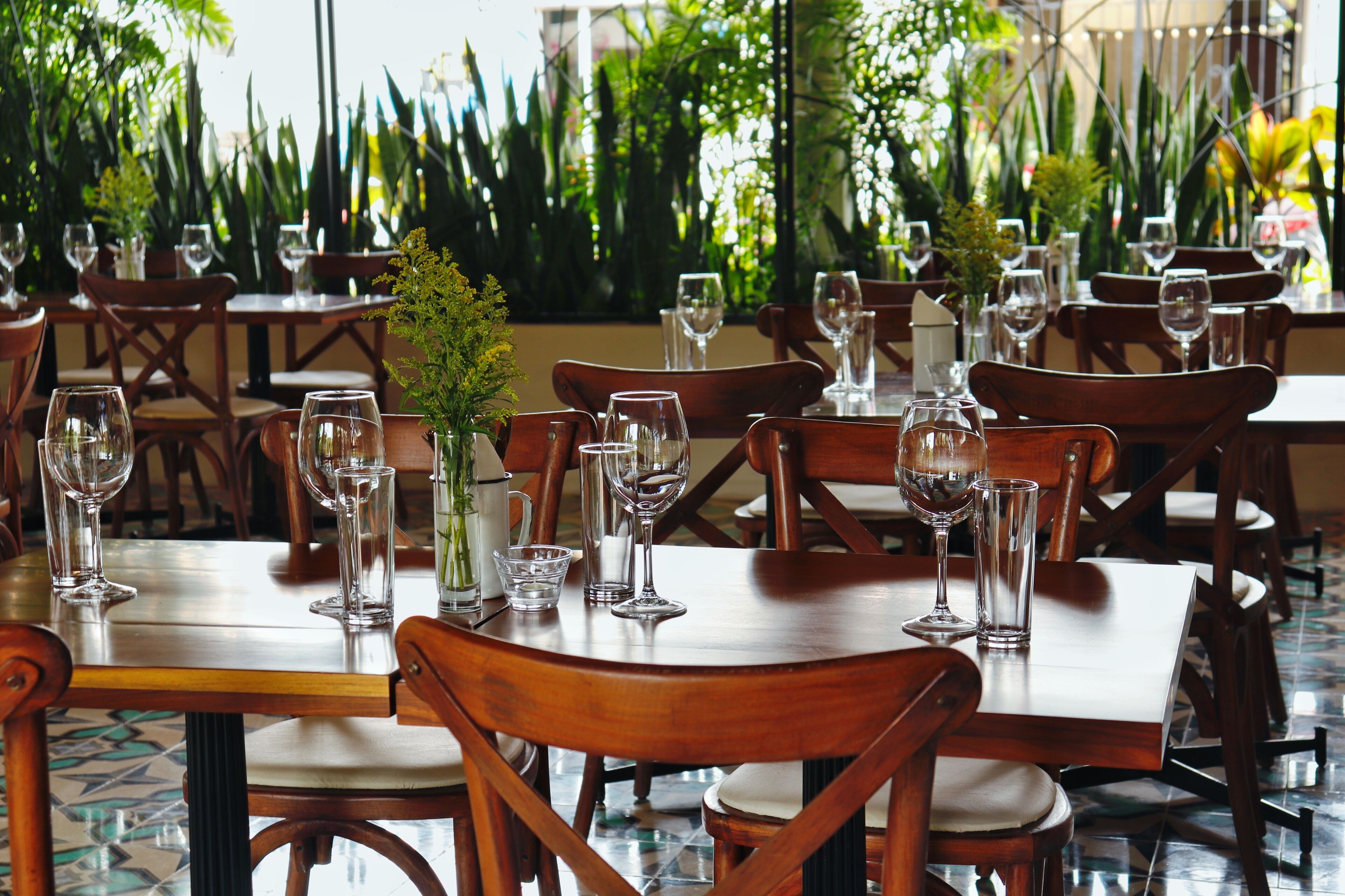 Photo - Blue Palm Bacalar