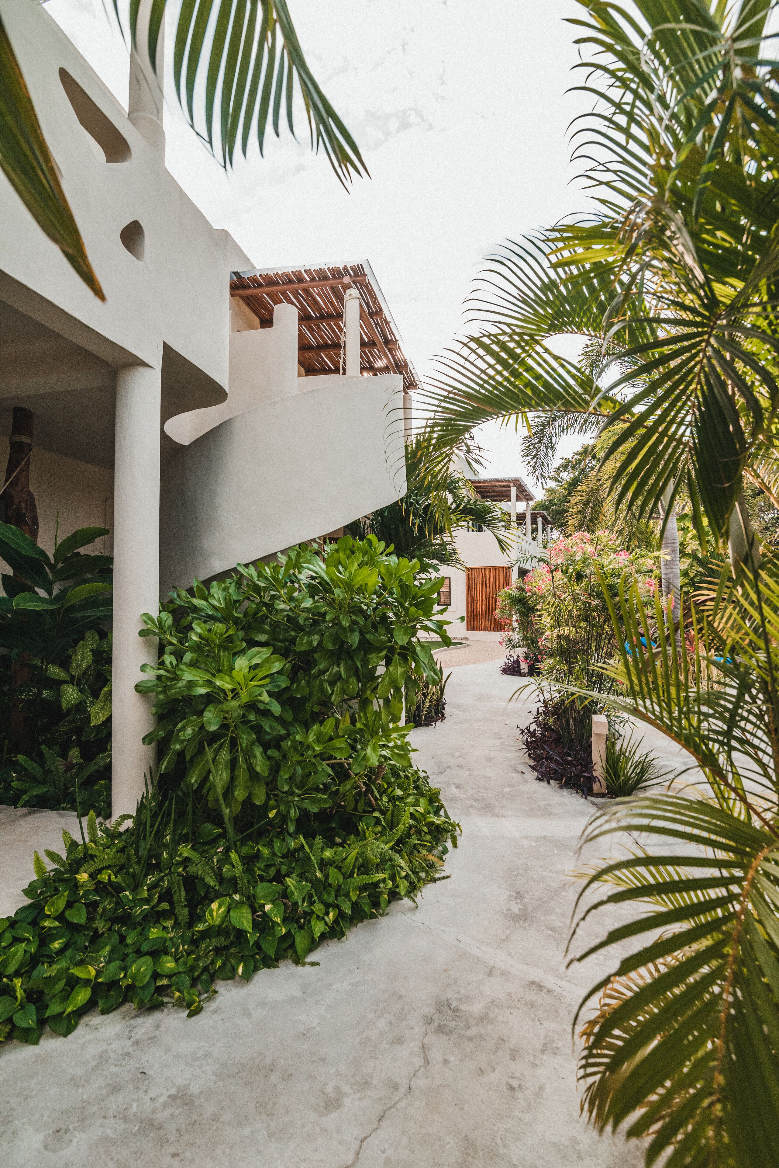 Photo - Blue Palm Bacalar