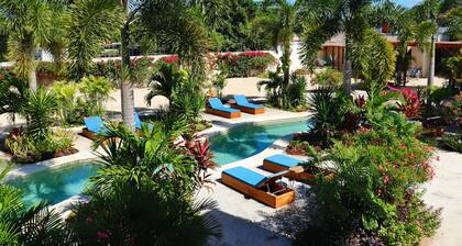 Blue Palm Bacalar
