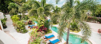 Blue Palm Bacalar