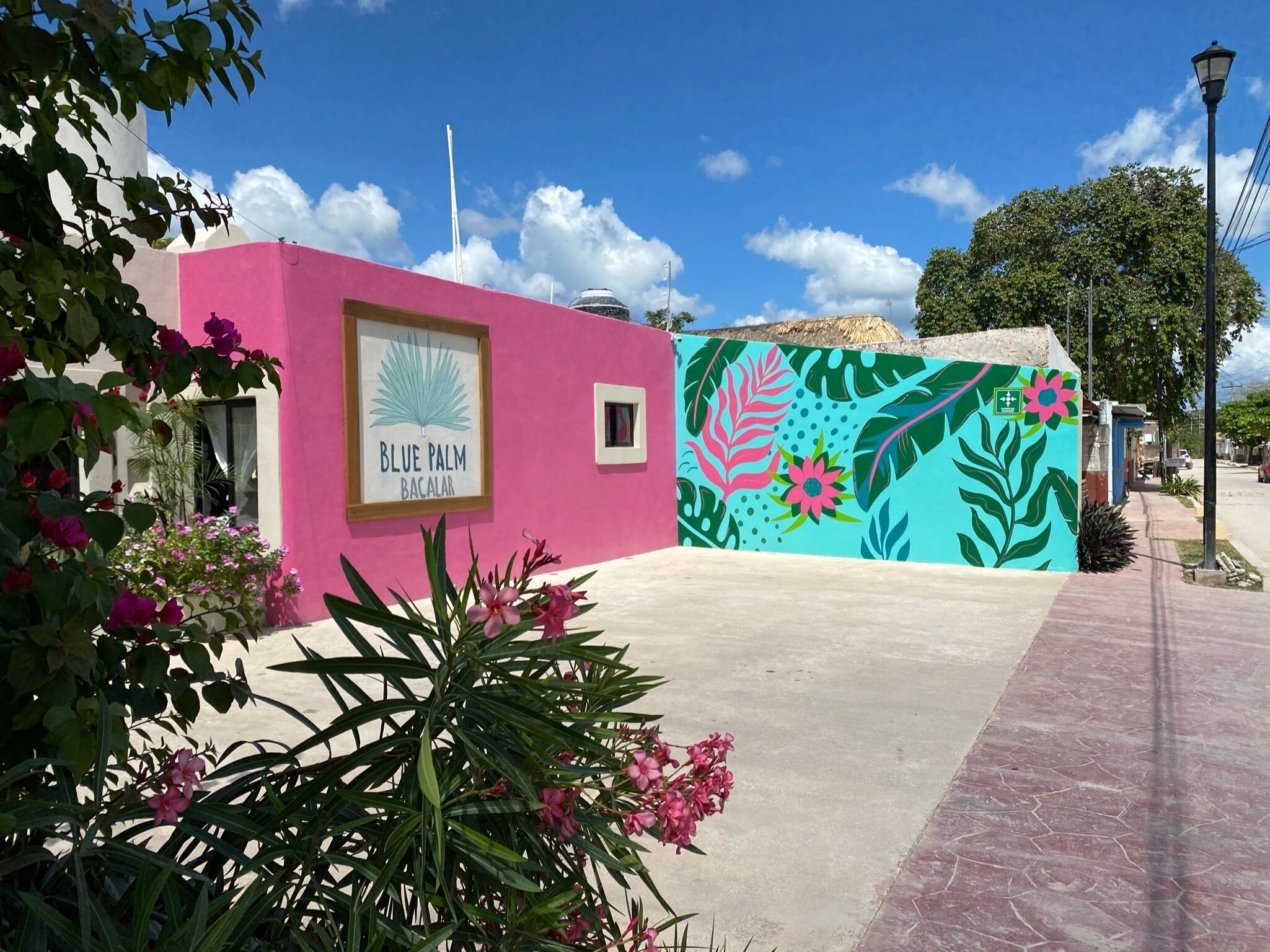 Um edifício com fachada rosa, um letreiro com a inscrição "Blue Palm Bacalar" e um mural com folhas e flores tropicais.