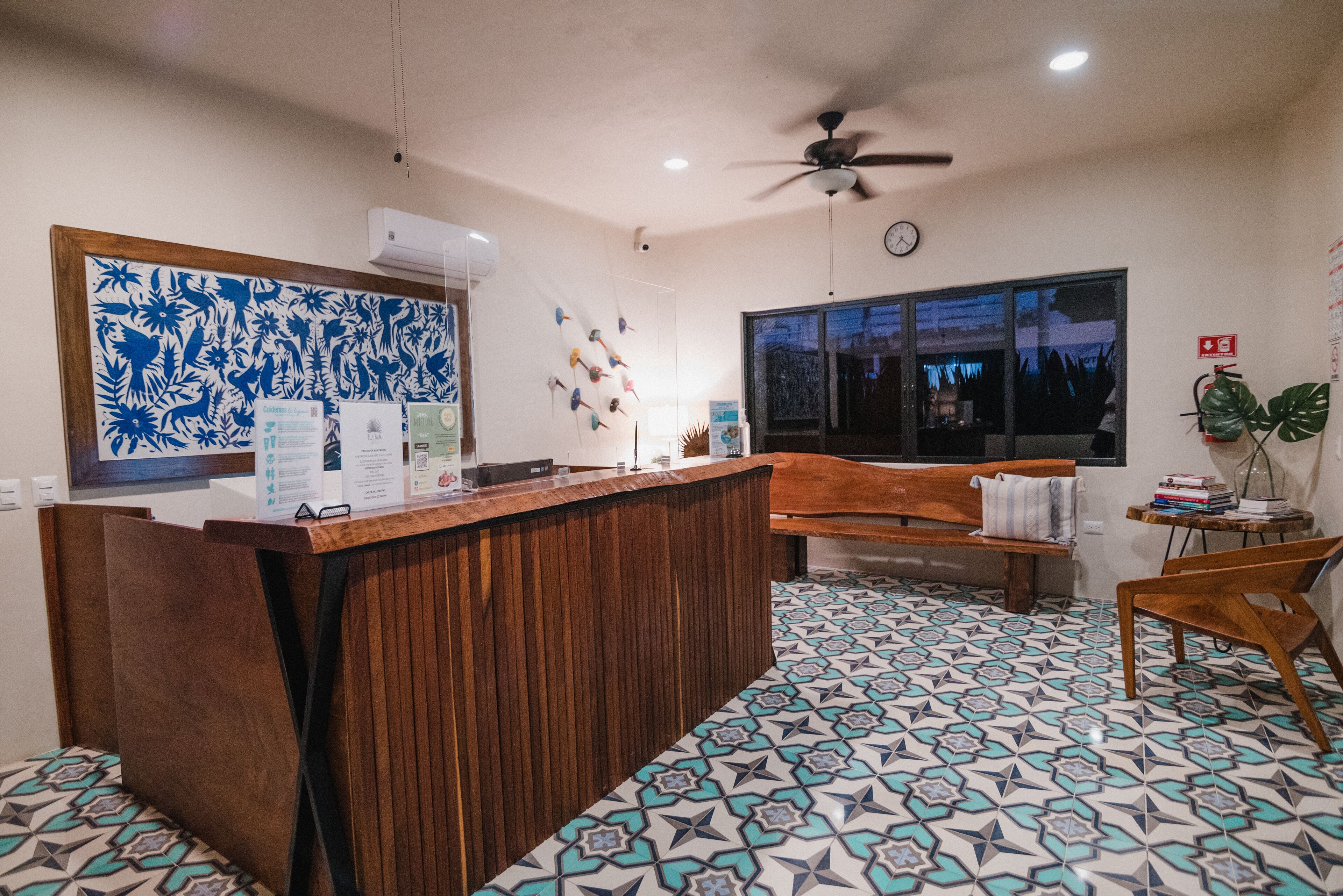 Photo - Blue Palm Bacalar