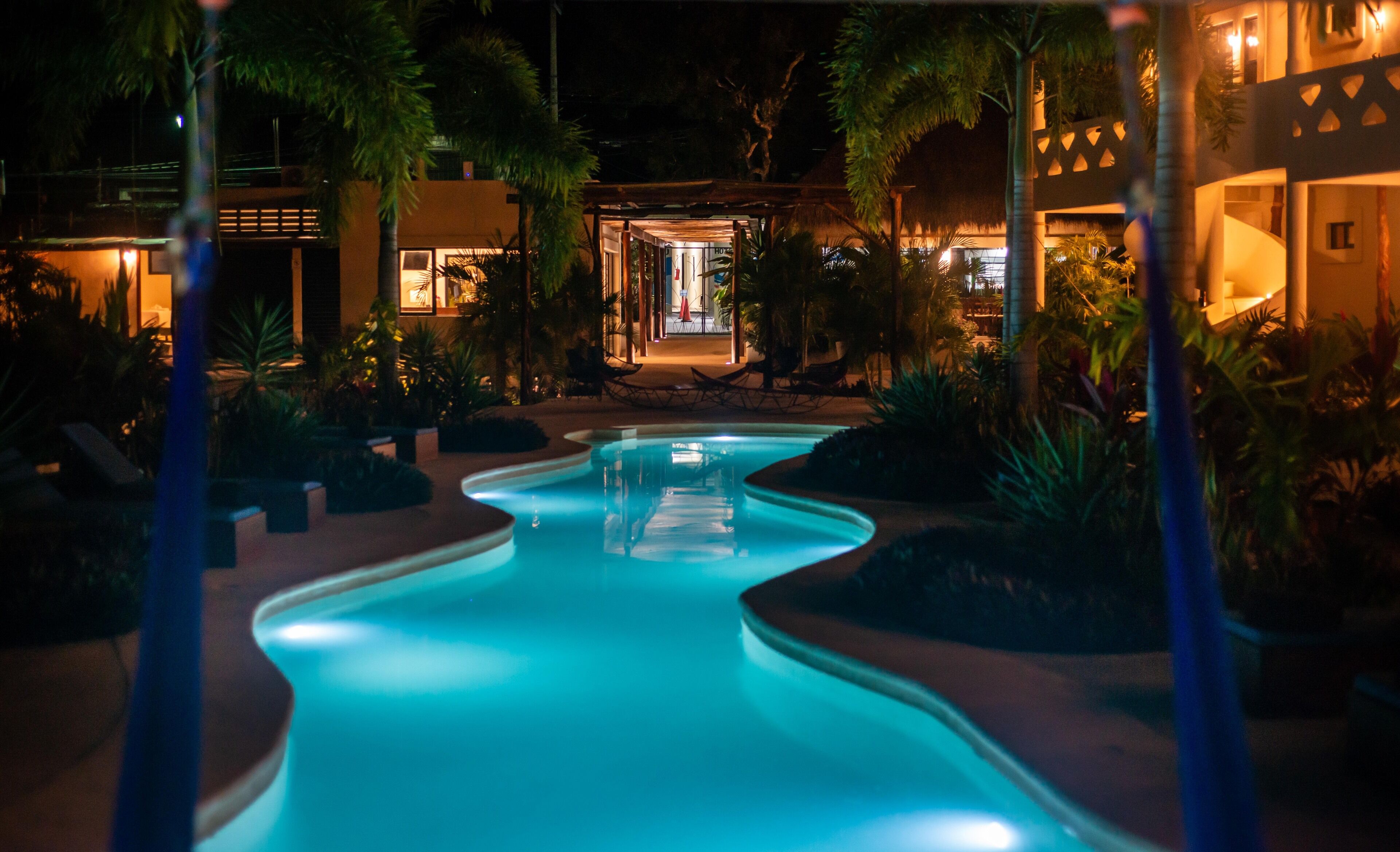 A nighttime view of a swimming pool with a wavy edge, surrounded by palm trees and a building with a lit entrance.