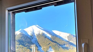 A window with a view of a snow-capped mountain, a forested area, and a small building.