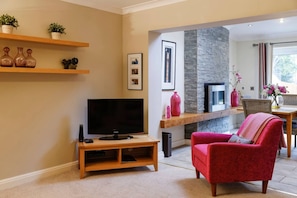 Televisor i llar de foc